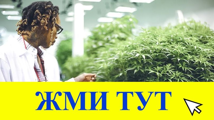 Купить наркотики в Курчатове